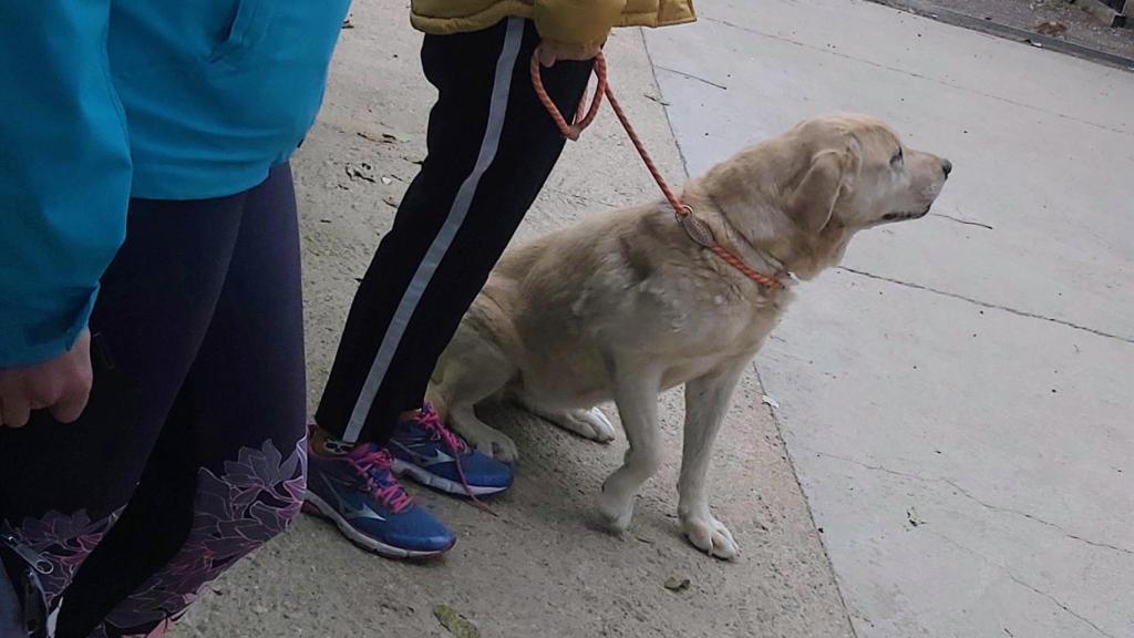 Nueva vida como guardianes de víctimas de violencia de género en Ciudad Real