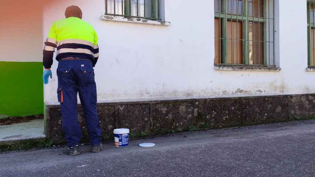 Limpieza de pintadas machistas en un colegio de A Lama.