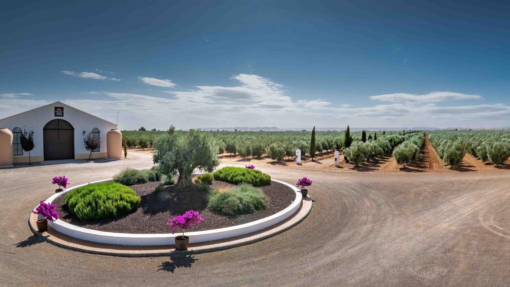 Vista exterior de la almazara de Palacio de los Olivos, junto a sus olivares.