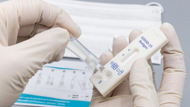 Test de antígenos