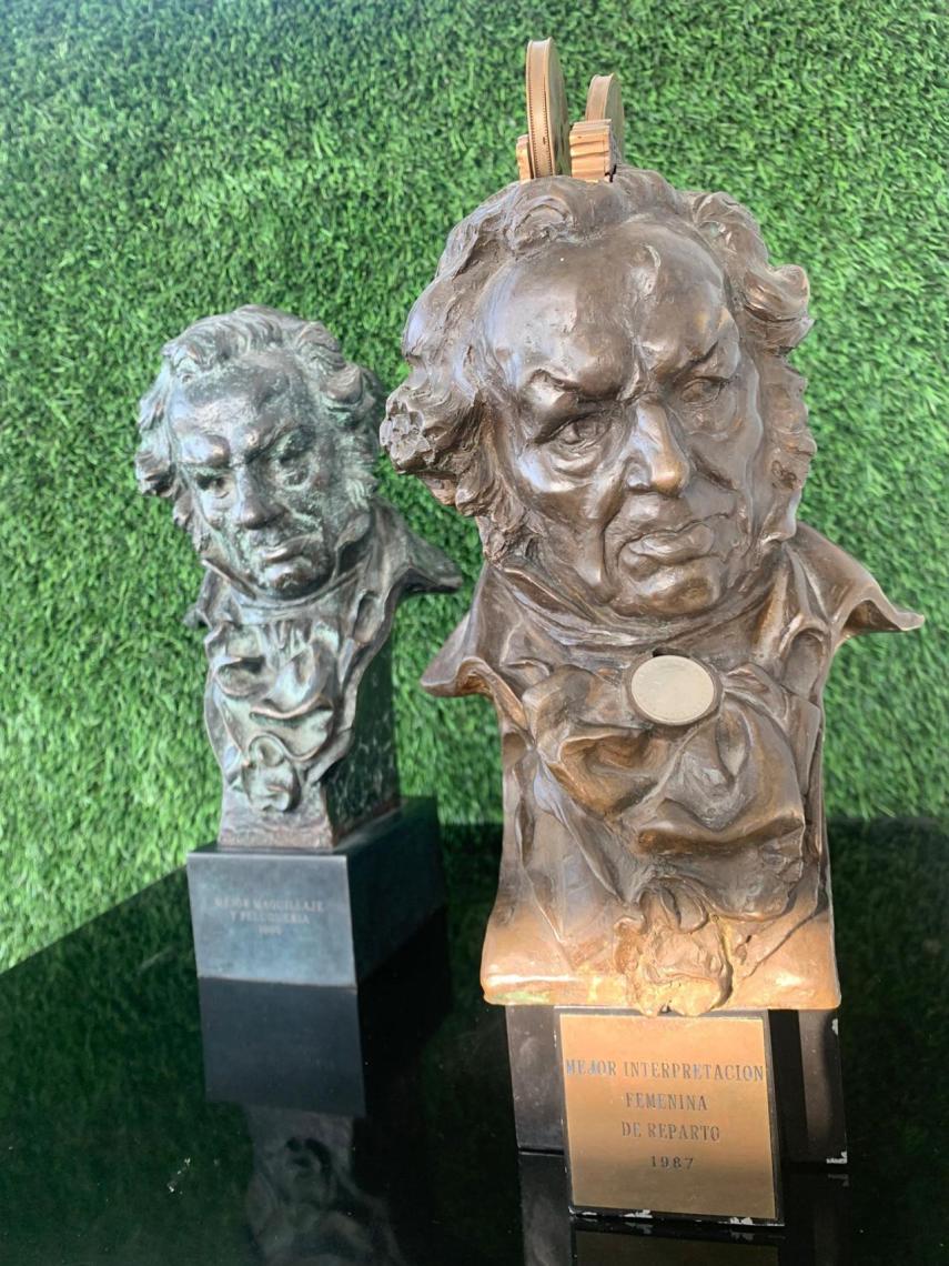 El Goya de Verónica Forqué, en primer plano, y el de Panizza, al fondo.