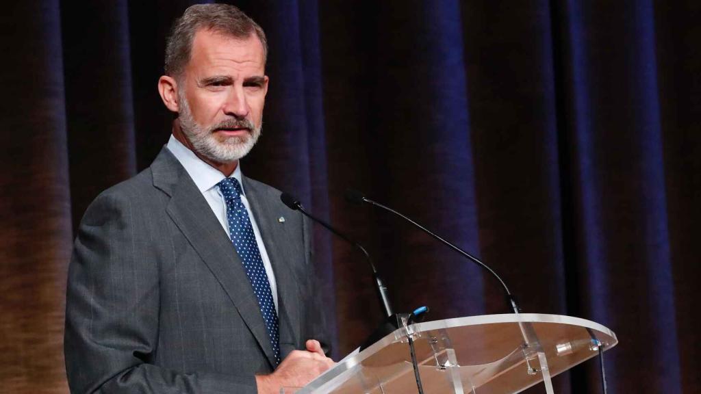 Rey Felipe VI