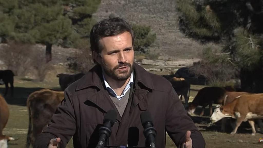 Pablo Casado este viernes, en una explotación ganadera de Las Navas del Marqués (Ávila).