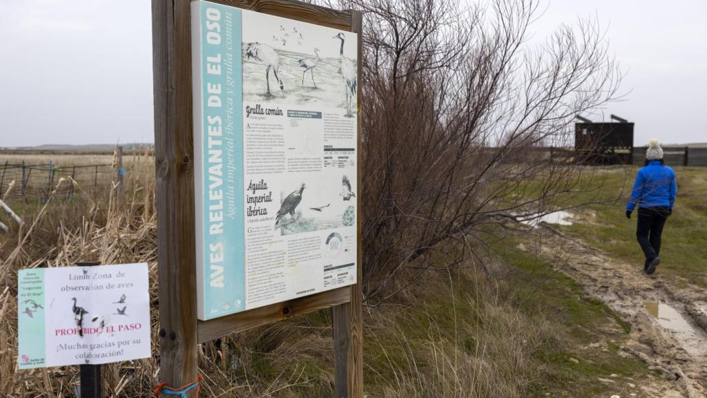 Zona de aves en El Oso (Ávila)