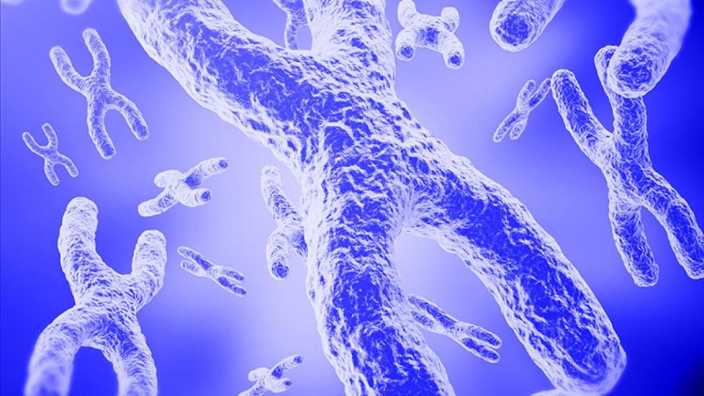 La prestigiosa revista 'Nature Communications' publicó el pasado diciembre resultados muy prometedores de la tecnología de Integra Therapeutics.