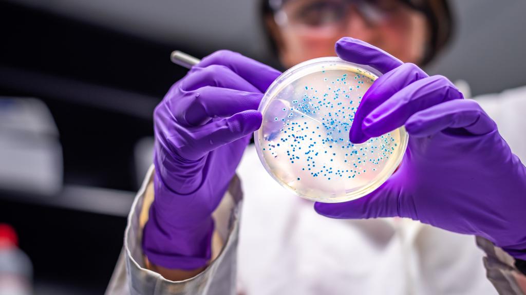 Resistencia a los antibióticos.