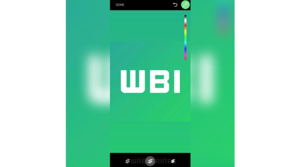 Captura WhatsApp Beta