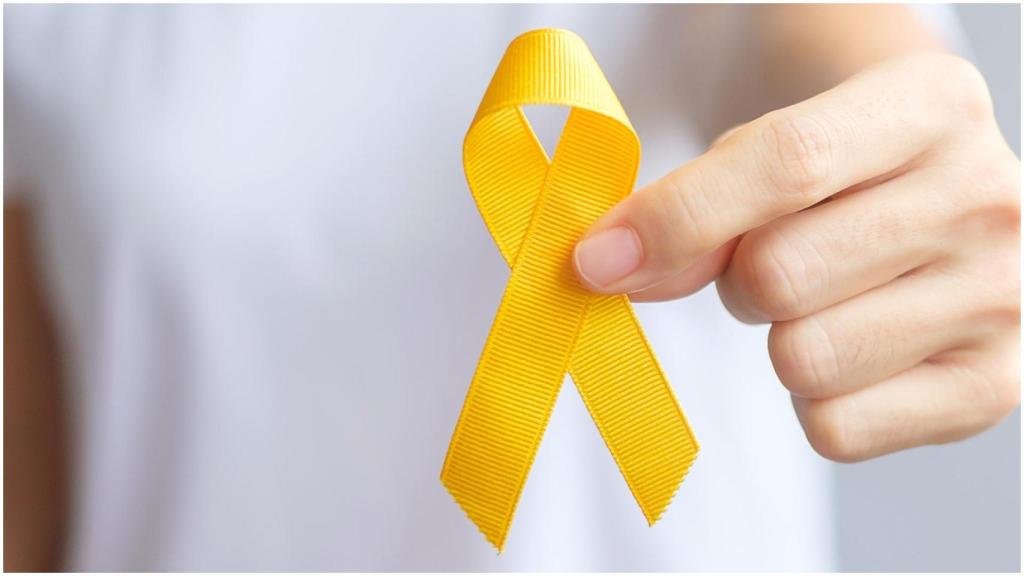 Expertos nacionales e internacionales en sarcomas se dan cita este viernes en A Coruña