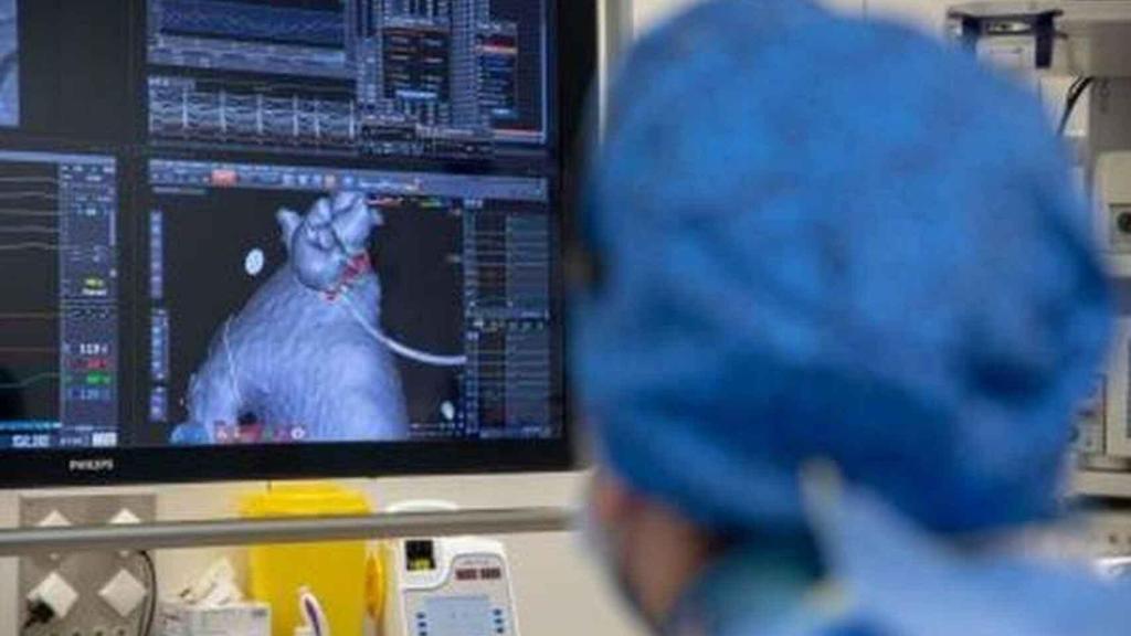 Estos son los factores de riesgo en las mujeres para morir por problemas cardiacos después de los 50.