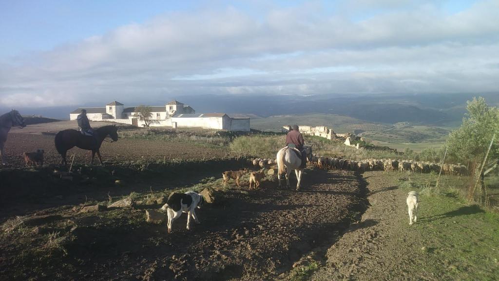 Paso a paso llegamos.