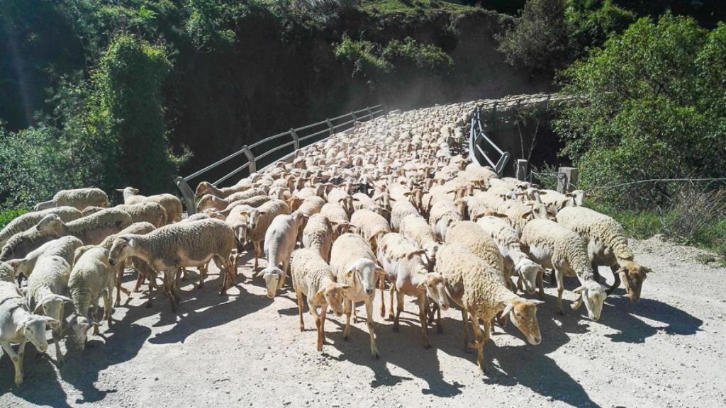 Continuamos, incesantemente.