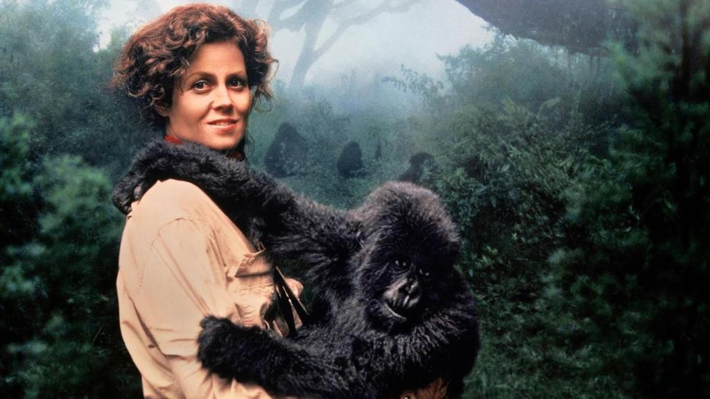 Sigourney Weaver en el cartel promocional de 'Gorilas en la niebla'.