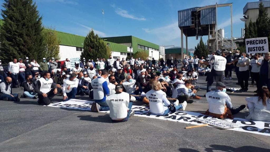 Ganaderos y productores lácteos demandan un precio justo por su leche durante la campaña 'Con la leche al cuello'.