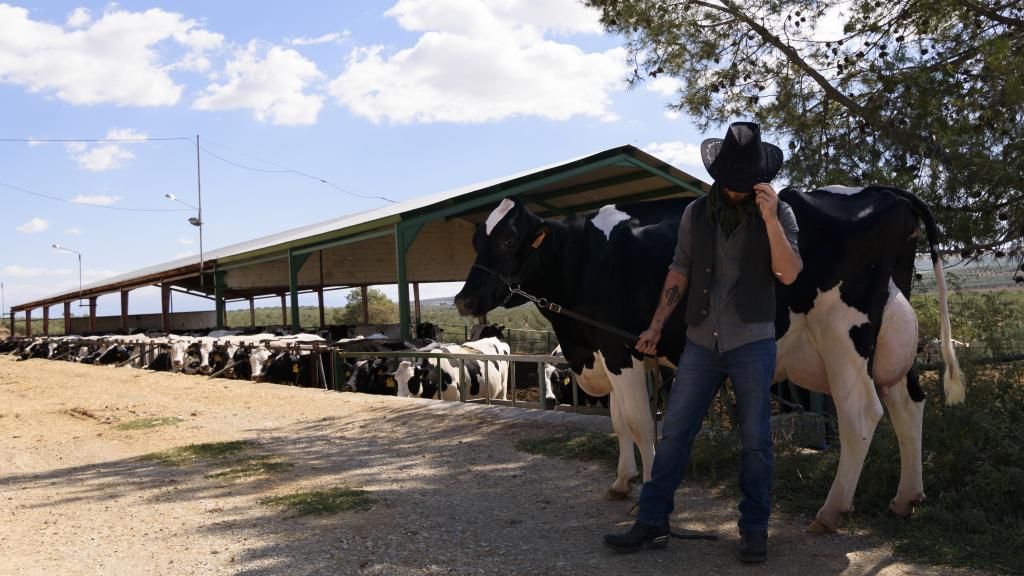 Una de las ganaderías familiares que conforman la cooperativa Alba Ganaderos.