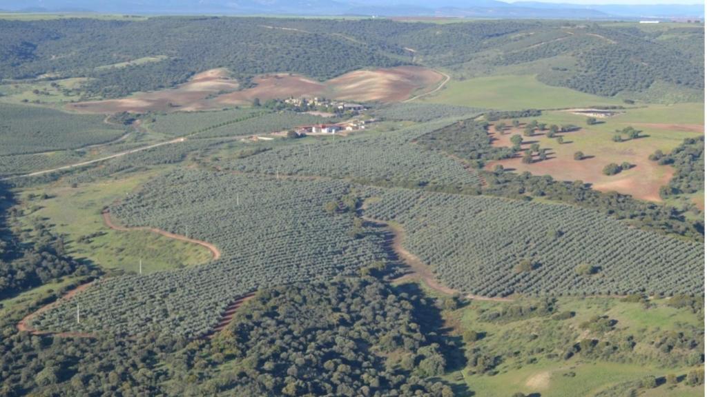 Finca Casa Hualdo en la provincia de Toledo