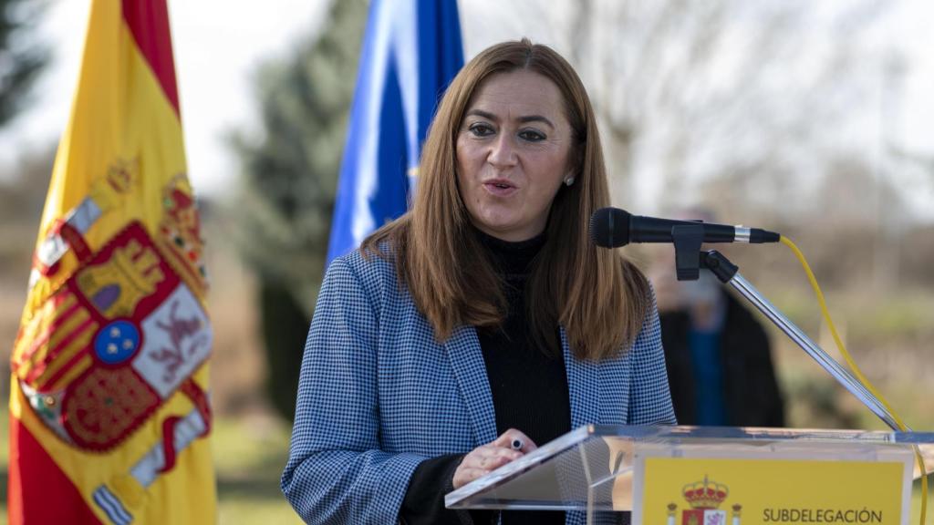 La delegada del Gobierno en Castilla y León, Virginia Barcones /  David Arranz ICAL