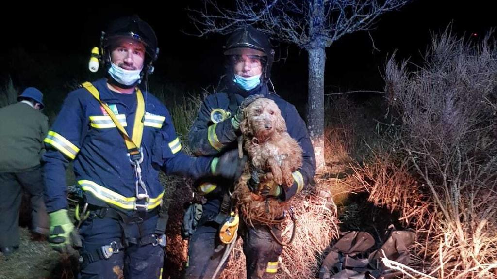 Bomberos tras el rescate del perro