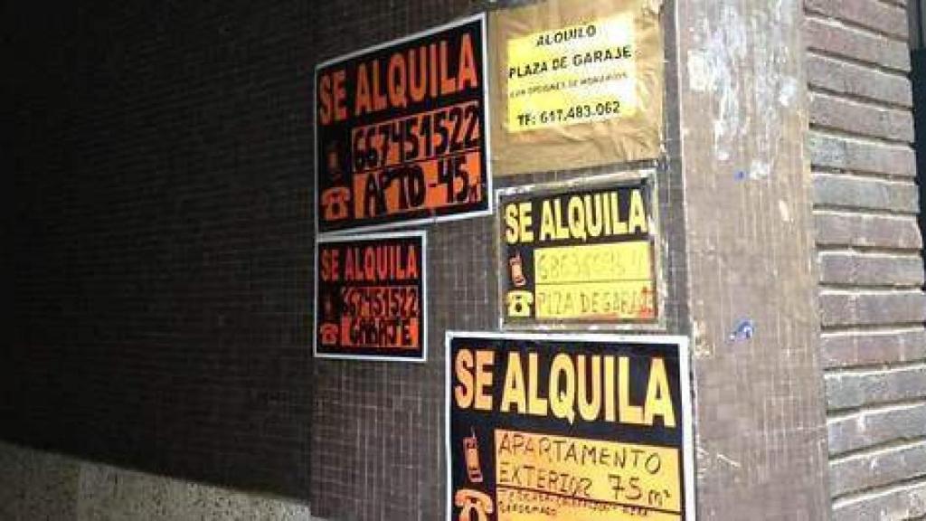 Viviendas en alquiler./
