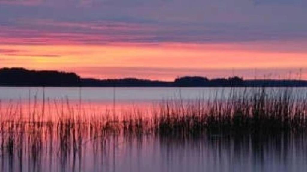 Elogio a la lentidud