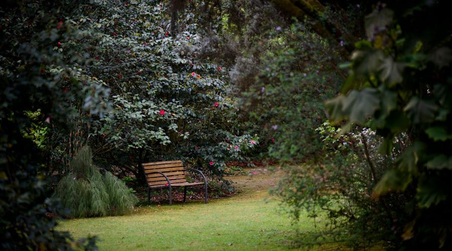 Jardín de A Saleta. Foto: Visit O Salnés.