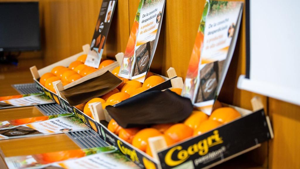 Persiskin obtendrá su materia prima en la misma comarca de Ribera Alta donde se concentra la producción de caqui y se convertirá un producto de Km 0.