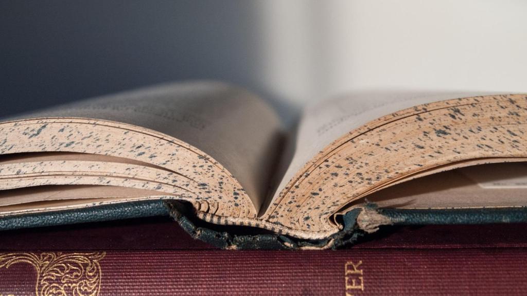 ¿Qué palabra en español existe y se puede pronunciar, pero no se puede escribir?