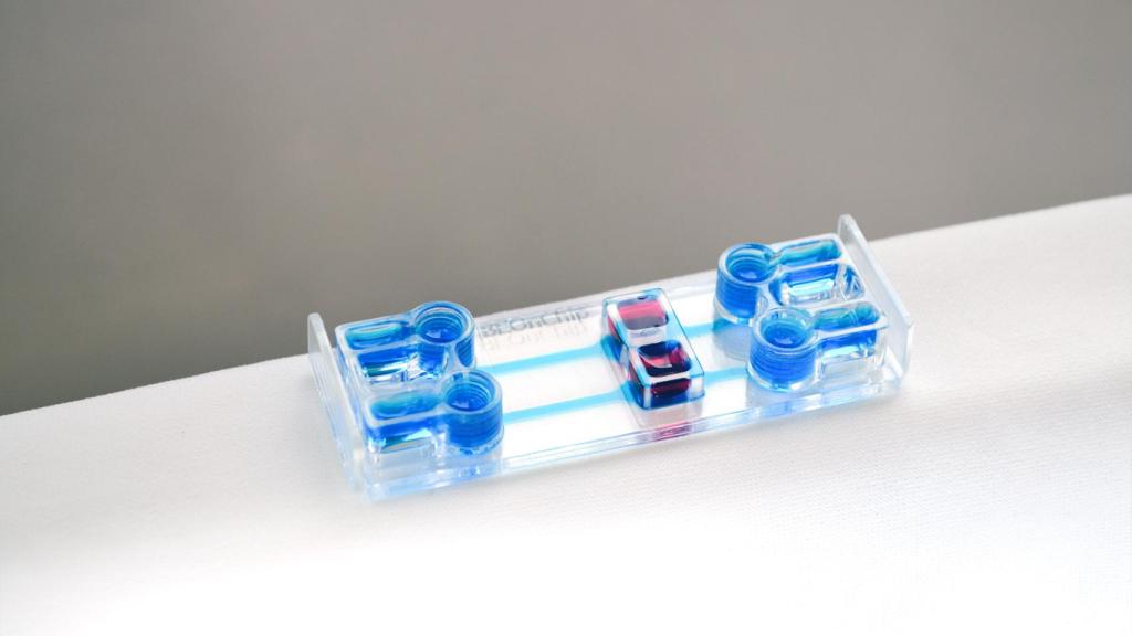 Chip de cultivo celular.