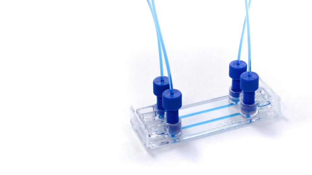 Chip de cultivo celular.