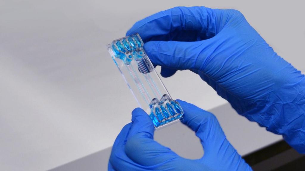 Manipulando el dispositivo de cultivo celular.