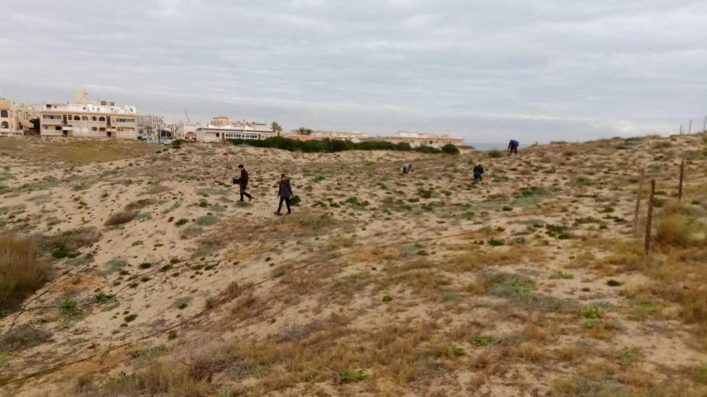 Paraje Natural Municipal, Molino del Agua.