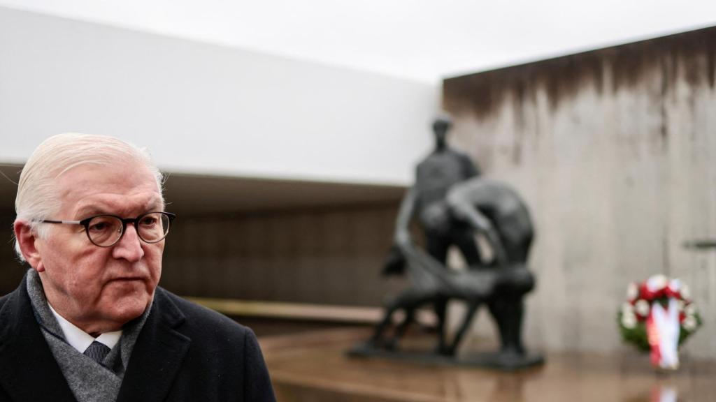 El actual presidente de Alemania, Frank-Walter Steinmeier.