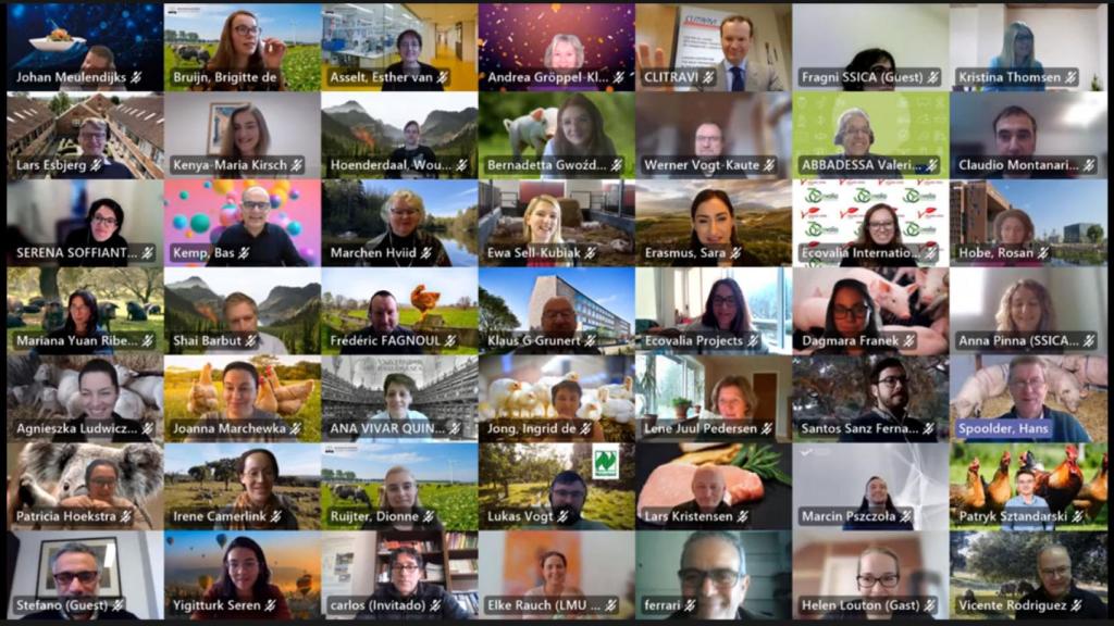 Participantes en el proyecto