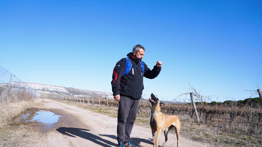 De Posada a Traspinedo: el pastor belga que quiere ayudar./ Miriam Chacón ICAL