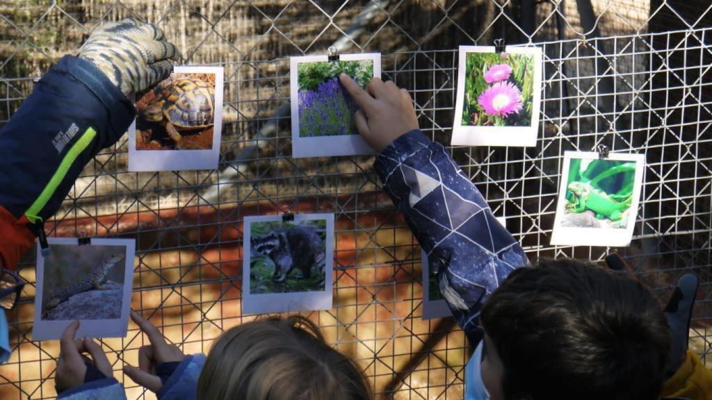'La Carta del Abuelo Zacarías'. Foto: JCCM