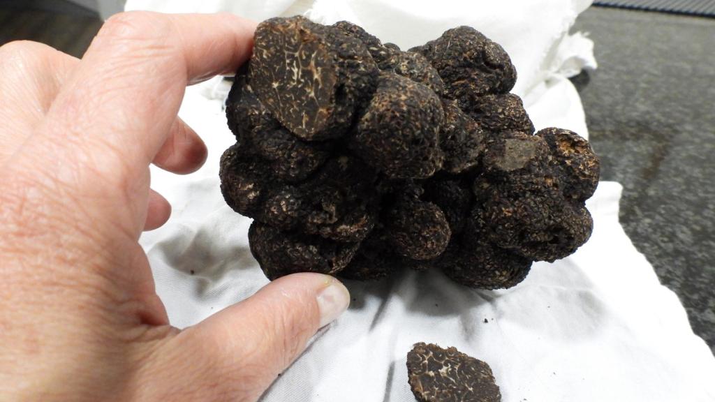 Trufa de 250 gramos en Zamora