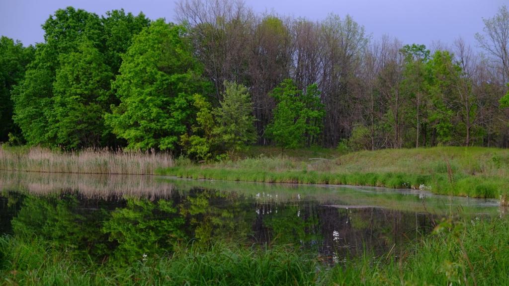 Imagen de la zona de exclusión de Chernóbil