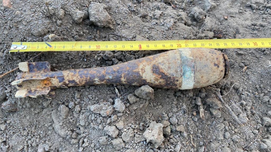 Granada encontrada en la provincia de Soria