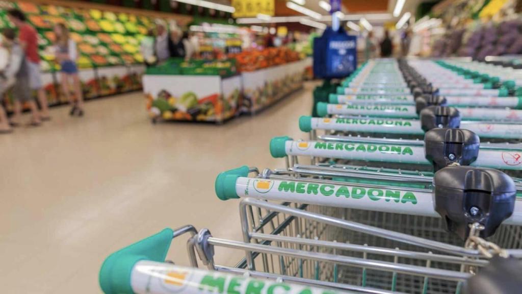 Una hilera de carritos en un supermercado Mercadona.