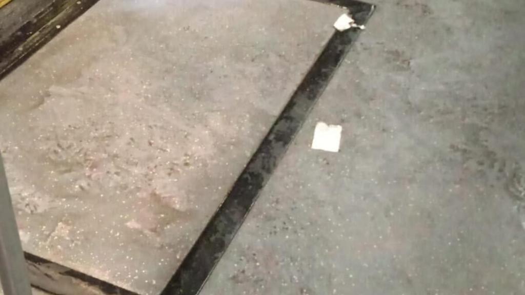 Imagen de un bus Búho