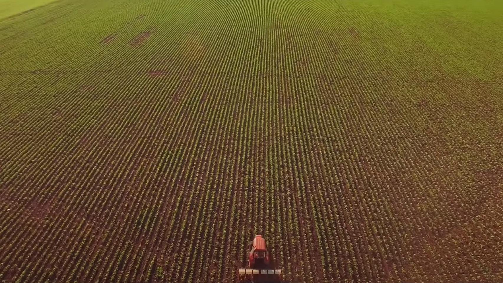 Un tractor en un cultivo.