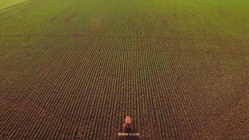 Un tractor por un cultivo de los que se podrían utilizar.