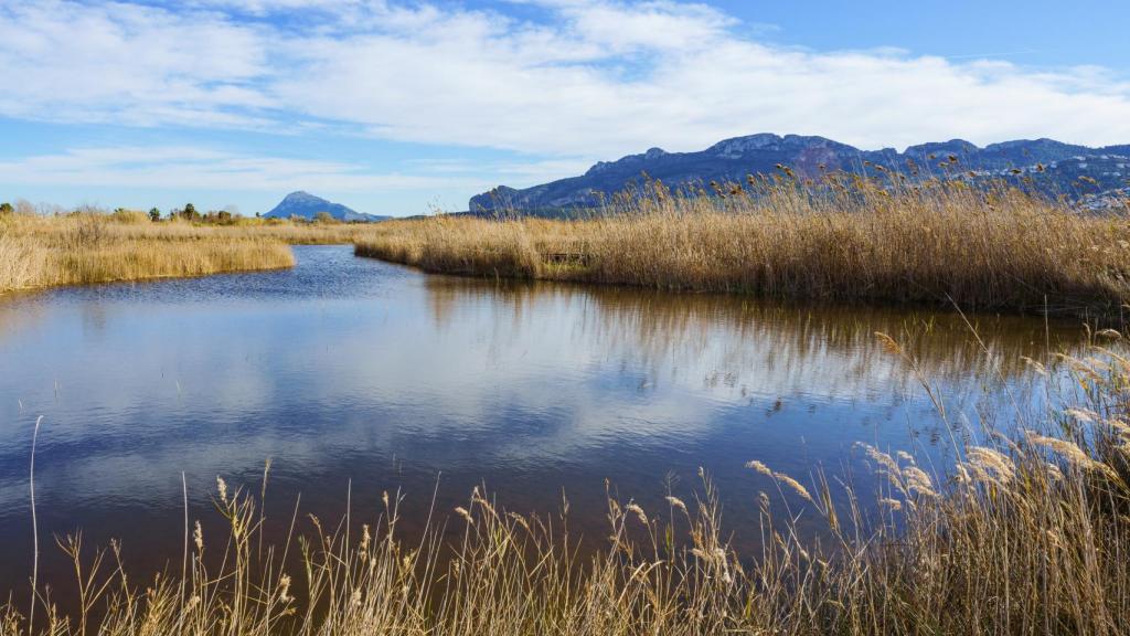 Marjal Pego-Oliva en Alicante, Comunidad Valenciana.