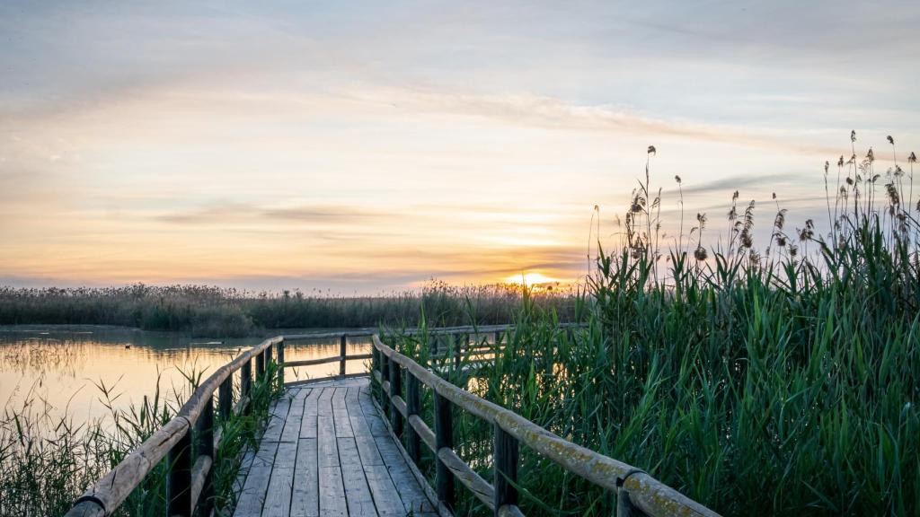 El Hondo de Elche y Crevillente.