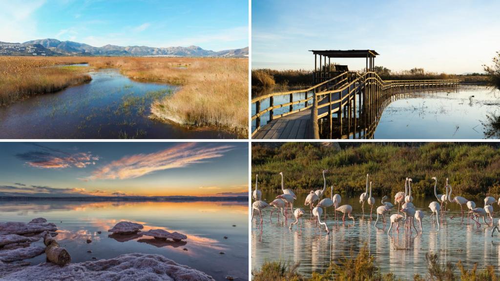 Cuatro humedales de la provincia de Alicante.