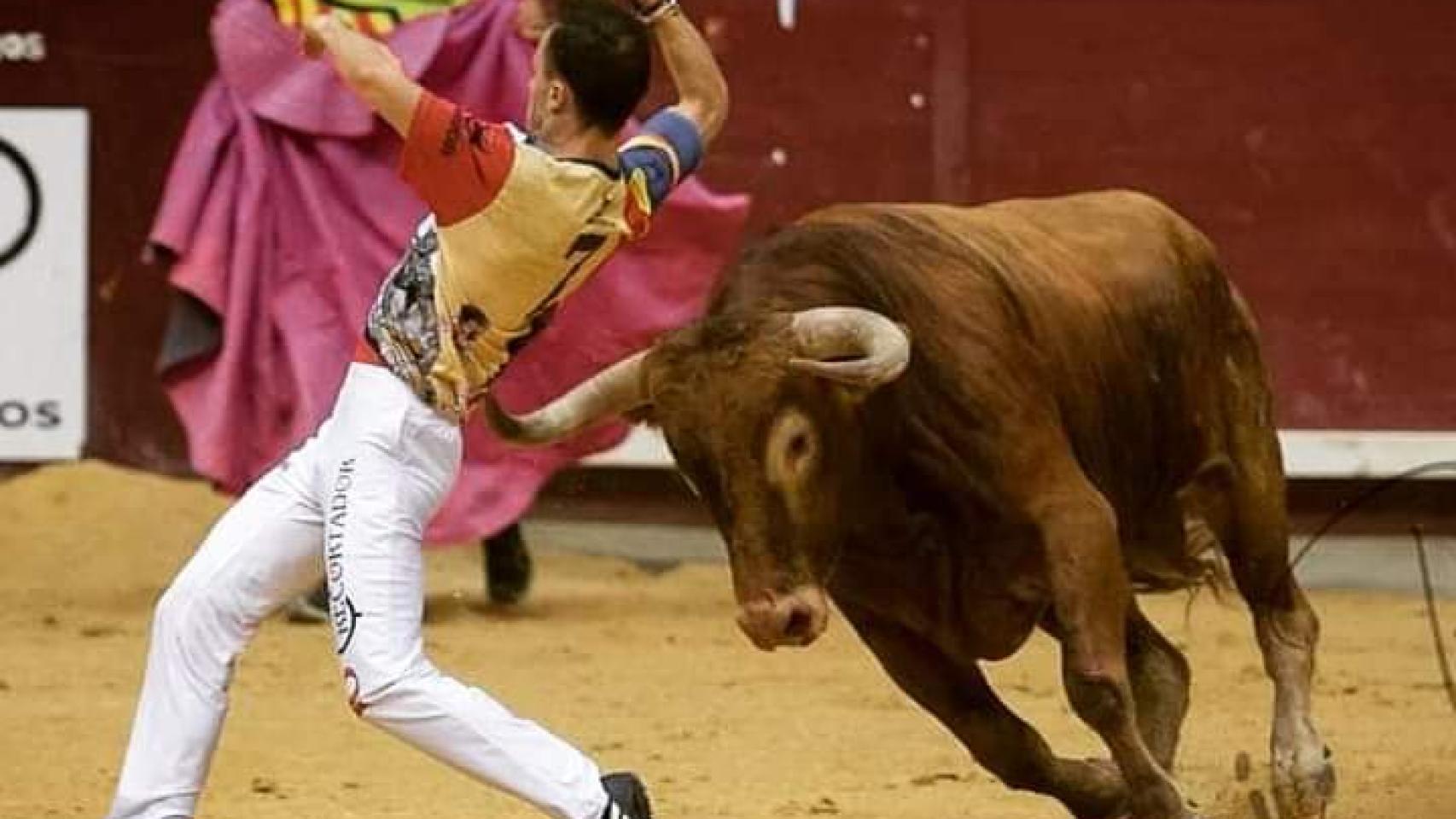 El recortador Jorge Muñoz Muni en plena faena.
