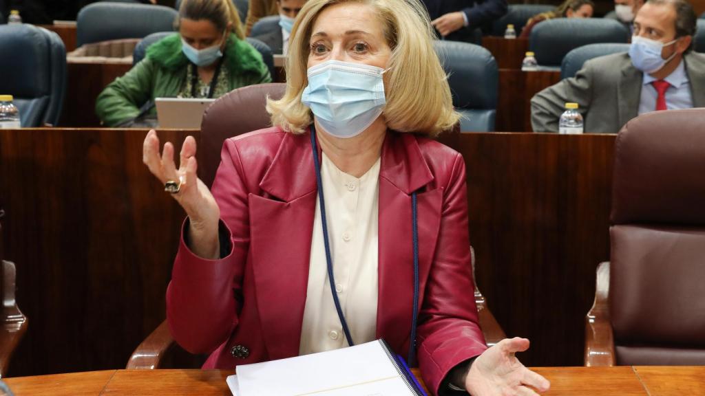 La consejera de Familia, Juventud y Política Social, Concepción Dancausa, en la Asamblea de Madrid.