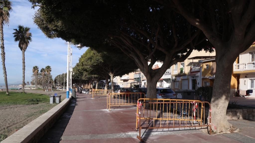 Imagen del estado del paseo de El Palo y los ficus existentes.