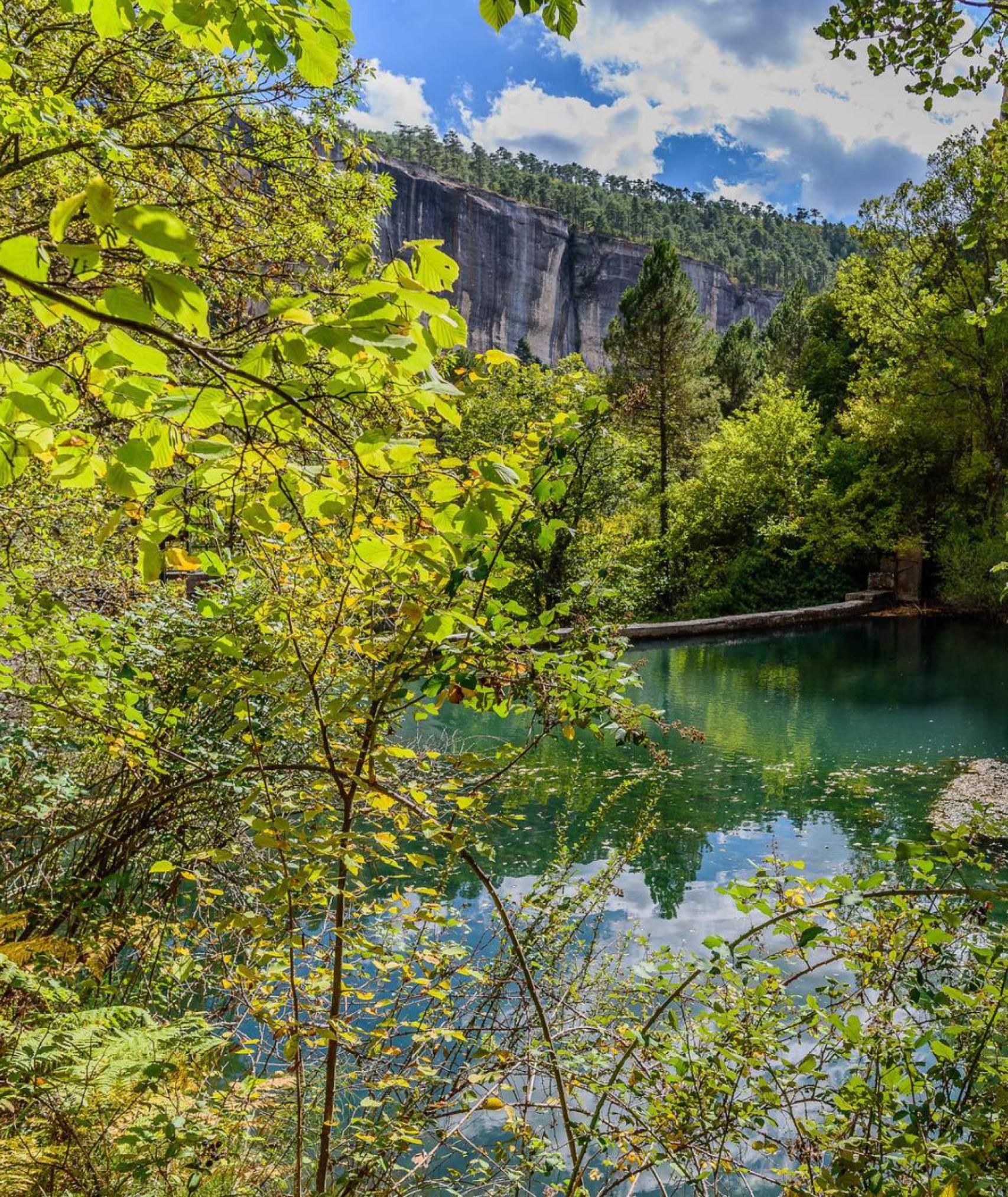 Monte Los Palancares y Agregados.