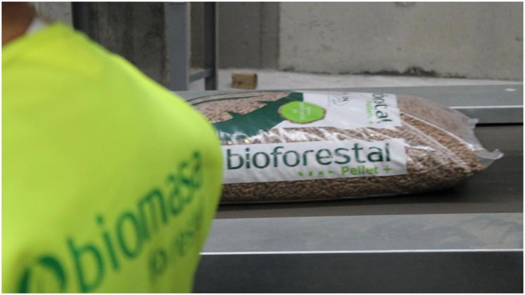 Imagen de archivo de la planta.