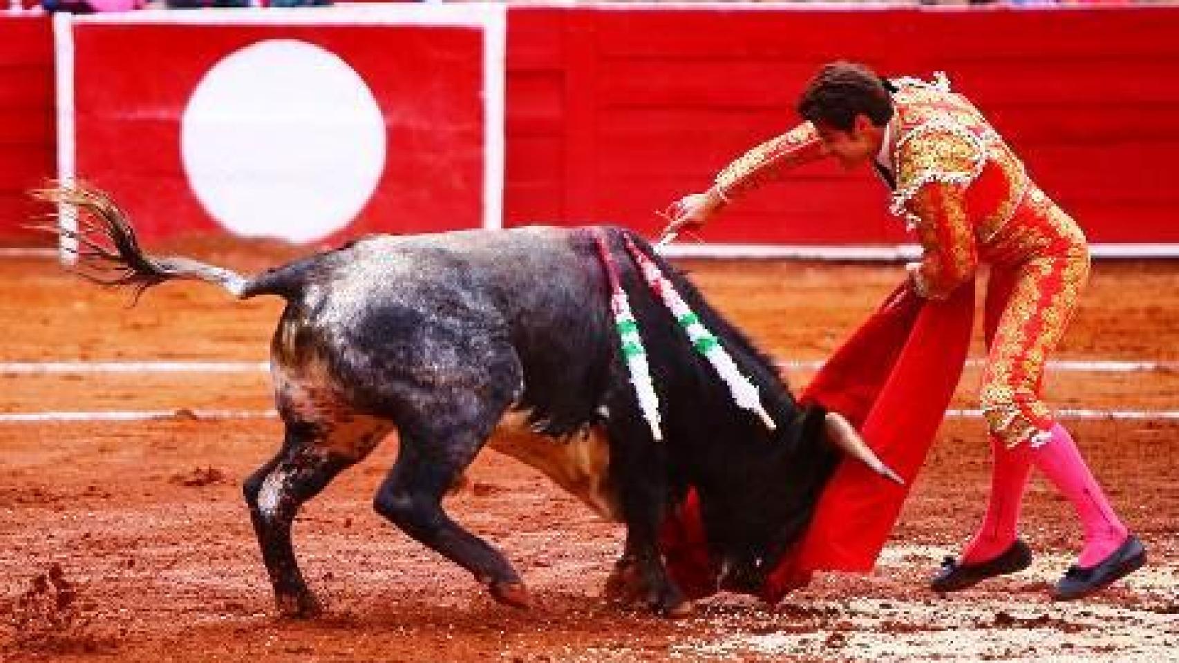 Ricardo Maldonado: un novillero en el olvido